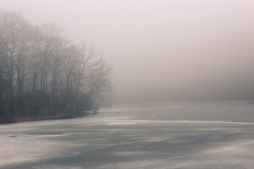 Winter Fog