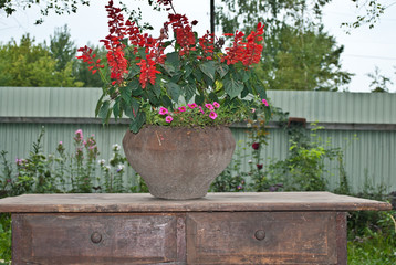 Vase in red flowers