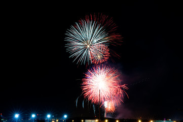 An explosion of fireworks in the dark night sky