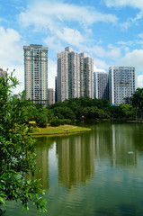 Beautiful lake views, shore plants, trees, etc