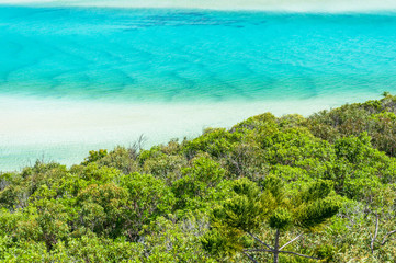 Fototapeta na wymiar Green leaves with turquoise water of tropical beach on the background