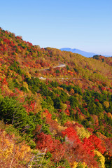 秋の磐梯吾妻スカイライン（福島市・猪苗代町）