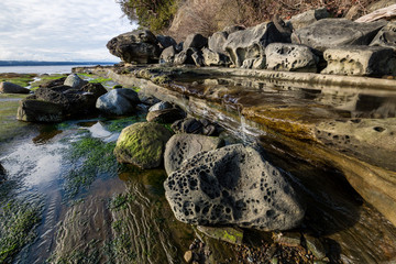 Beautiful nature landscape view on a rocky shore during a sunny winter day. Picture taken in Hornby Island, British Columbia, Canada.
