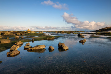 Beautiful nature landscape view on a rocky shore during a sunny winter day. Picture taken in Hornby Island, British Columbia, Canada.