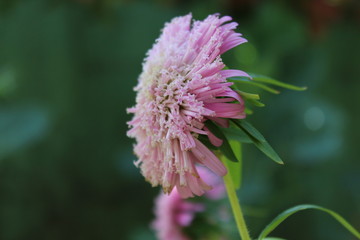 So Fragile!