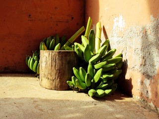 A bunch of green bananas left in a corner