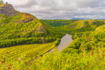 Obraz premium Wailua River Valley