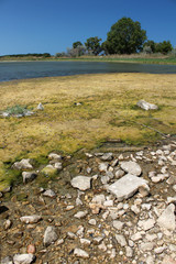 Lago di Lesina sul Gargano in Puglia