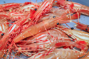 Fresh raw seafood selling at fish market