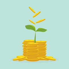 Plant Growing In Savings Coins - Investment And Interest Concept ,Business investment growth concept,with stack money coin