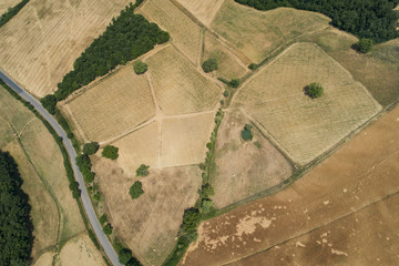 Vista aerea della campagna in val D'orcia in Toscana. 