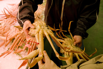 松葉かに（品定め）