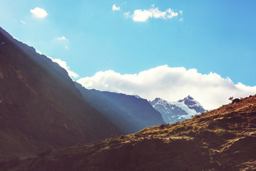 Fototapeta na wymiar Cordillera