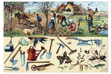 What surrounds us in nature? (Spring)