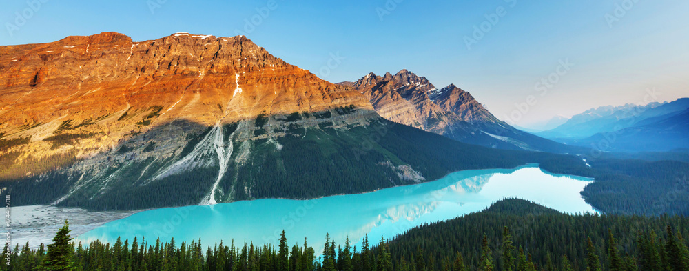 Wall mural peyto lake