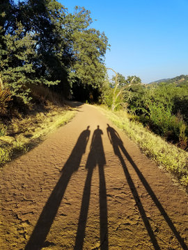 Three Shadows on the Road
