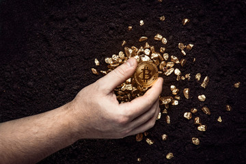 Gold nuggets with a bitcoin in the hands of the miner. Mining Golden Bitcoins