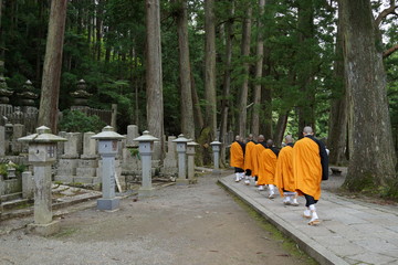 奥の院を歩く僧侶　お坊さん　修行　和歌山　熊野神社　仏教  高野山