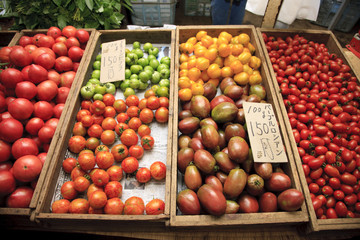 いろんなトマト