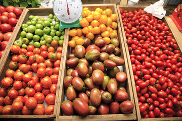 いろんなトマト