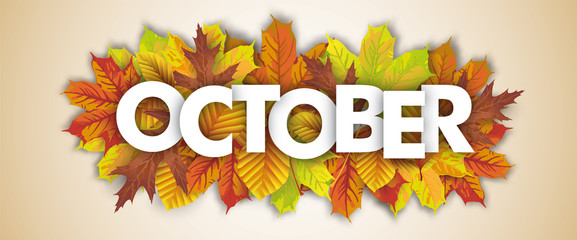 Autumn Foliage October Header - obrazy, fototapety, plakaty