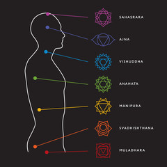 Chakra system of human body chart. Seven chakra symbols. Location information of each chakra. Chakra centers - 174421060