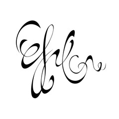 ornament 119. abstract black flourish on a white background