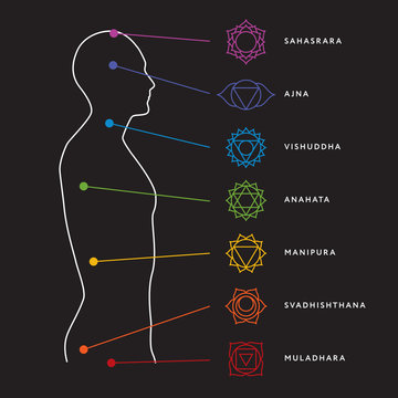 Chakra system of human body chart. Seven chakra symbols. Location information of each chakra. Chakra centers