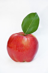 Red apple on a white background.
