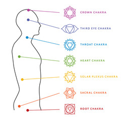 Chakra system of human body chart. Seven chakra symbols. Location information of each chakra. Chakra centers - obrazy, fototapety, plakaty
