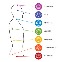 Chakra system of human body chart. Seven chakra symbols. Location information of each chakra. Chakra centers - obrazy, fototapety, plakaty