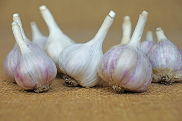 Garlic is ready to eat. Garlic is isolated on the background of the bag.