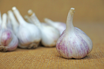 Garlic is ready to eat. Garlic is isolated on the background of the bag.