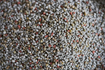 Chemical Fertilizer or Organic Fertilizer