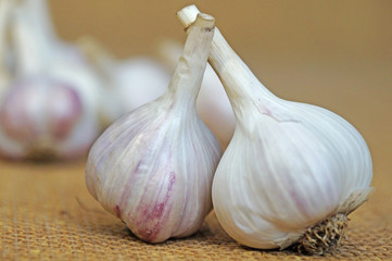 Garlic is ready to eat. Garlic is isolated on the background of the bag.