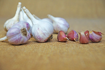 Garlic is ready to eat. Garlic is isolated on the background of the bag.