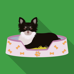 Lounger for a pet, a sleeping place. Dog,care of a pet single icon in flat style vector symbol stock illustration web.