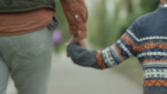 Happy father and son outdoors, holding hands walking in the countryside