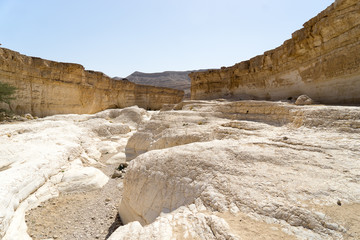 Fototapeta premium Israeli desert travel