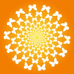 Abstract background of butterflies flying in a circle. Orange, yellow, warm, pattern, movement