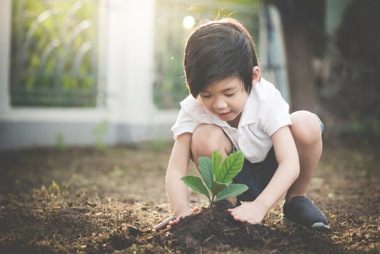 Cute Asian child planting young tree on the black soil