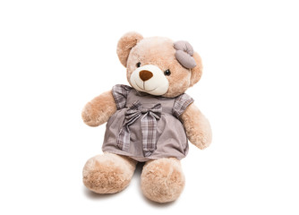 soft toy bear isolated