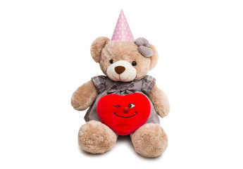 soft toy bear isolated