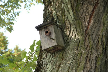 Futterhaus für Vögel
