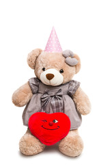 soft toy bear isolated