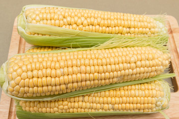 corn cob