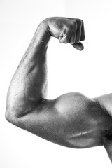 Closeup of muscular fitness model showing biceps