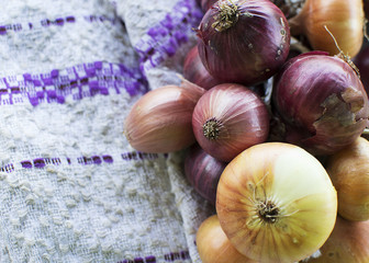 красный и жёлтый лук крупным планом лежит на столе. деревенские продукты.