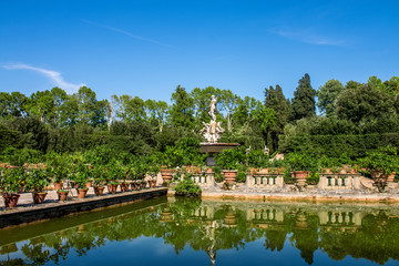 Fototapeta premium Jardín Boboli 