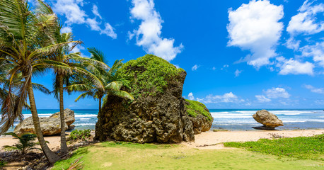 Rock formation on the beach of Bathsheba, East coast of  island Barbados, Caribbean Islands - travel destination for vacation